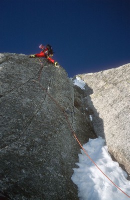 Cecinel Nominée, winter 1998